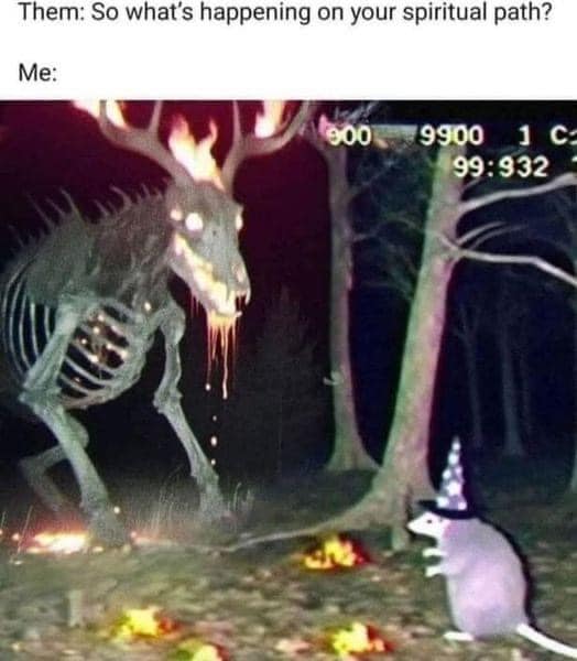 This meme is a humorous image that juxtaposes a serious question about spiritual experiences with a terrifying and fantastical image. The text at the top reads "Them: So what's happening on your spiritual path?" and the response below is simply "Me:". The image that follows is a dark, eerie scene featuring a monstrous, skeletal creature with glowing eyes, and a small, frightened-looking creature in the foreground.